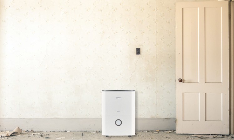 Rotenso Dorai D20X im Keller