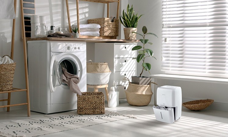 Rotenso Dorai D30X in der Raumgestaltung