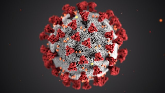 Visualisierung des SARS-CoV-2-Virus