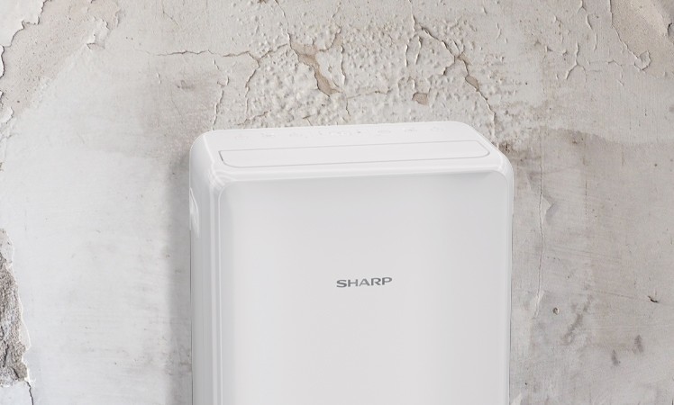 Sharp UD-P16E-W im Einsatz