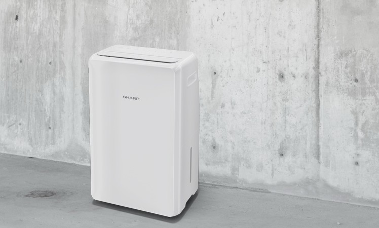 Sharp UD-P20E-W im Einsatz