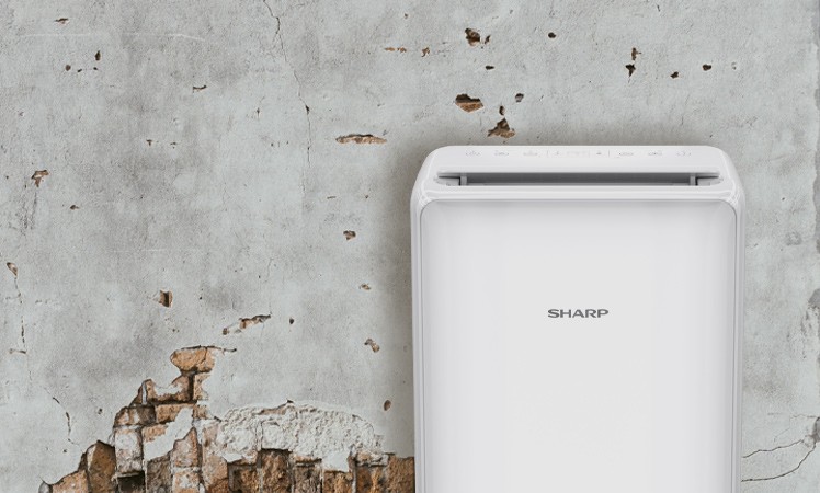 Luftentfeuchter Sharp UD-P20E-W