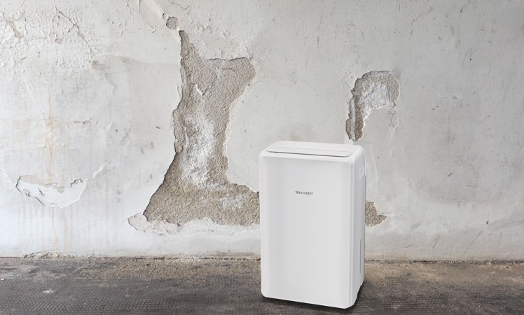 Sharp UD-P20E-W im Keller