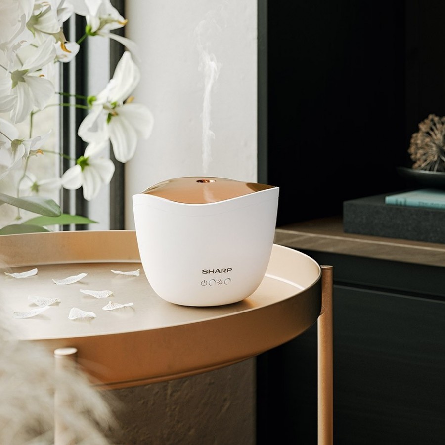 Sharp Ultraschall-Luftbefeuchter im Wohnzimmer