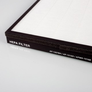 Nahaufnahme des HEPA-Filters für Coway Storm