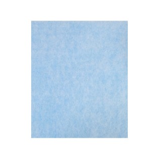 Feinstaubfilter für Coway Storm