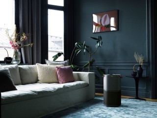 Electrolux Pure A9 PA91-404DG Reinigeranordnung