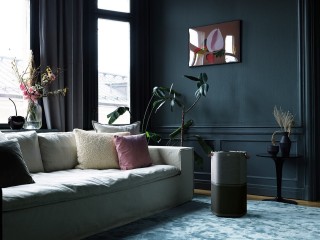 Electrolux Pure A9 PA91-404DG im Zimmer