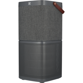 Luftreiniger Electrolux Pure A9 PA91-404DG