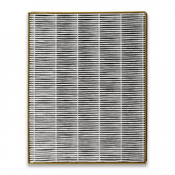 Integrierter Filter für Toshiba CAF-X50XPL