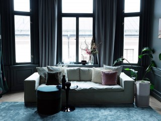 Anordnung des Luftreinigers Electrolux PA91-404GY