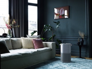 Anordnung des Luftreinigers Electrolux PA91-404GY