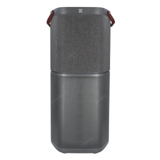 Electrolux Pure A9 PA91-604DG Vorderansicht