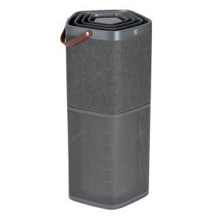 Electrolux Pure A9 PA91-604DG Vorderansicht