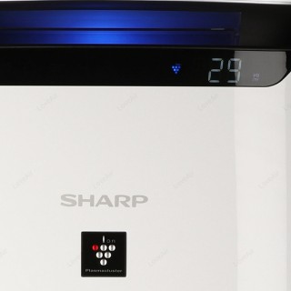Sharp FP-J60EUW Display zeigt PM2.5 Staubniveau
