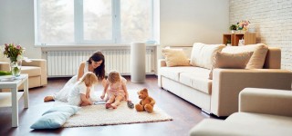 LIFAair LA500V Reinigungseinrichtung