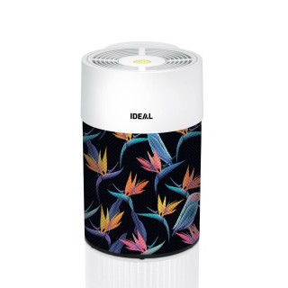 Papageienmuster - Anordnung