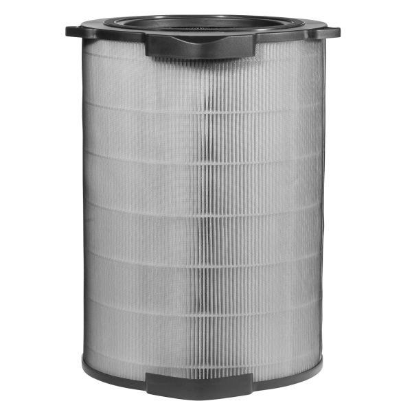 Filter Electrolux EFDCLN6