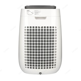 Sharp FP-J40EU-W Rückansicht, Vorfilter