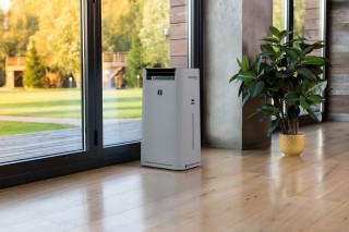 Sharp UA-HG40E-L - stilisiertes Foto