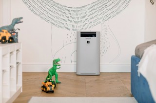 Sharp UA-HG50E-L - Anordnung des Luftreinigers