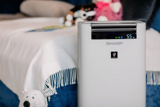 Sharp UA-HG60E-L - Luftreiniger-Setup