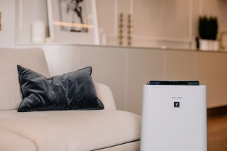 Sharp UA-HD50E-L - Anordnung des Luftreinigers