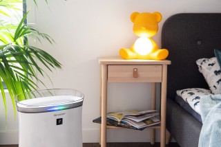 Sharp UA-PF40E-W - Arrangement des Reinigers