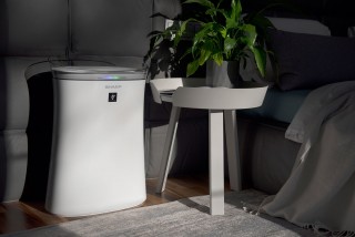 Sharp UA-PF40E-W - Anordnung des Luftreinigers