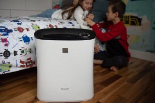 Sharp UA-PE30E-WB - Luftreiniger-Arrangement