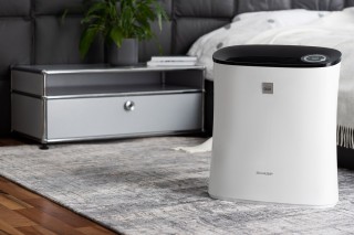 Sharp UA-PE30E-WB - Luftreiniger-Arrangement