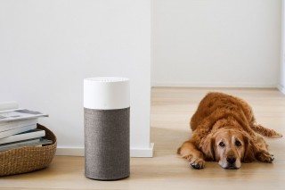 Blueair Blue 3210 - Anordnung des Luftreinigers