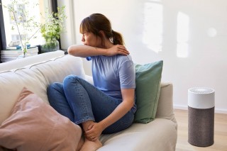 Blueair Blue 3210 - Reinigeranordnung