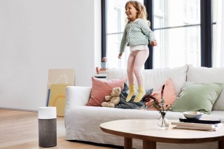 Blueair Blue 3210 - Reinigeranordnung