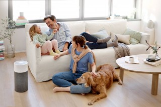 Blueair Blue 3210 - Reinigeranordnung