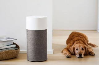 Blueair Blue 3410 - Luftreiniger-Gestaltung