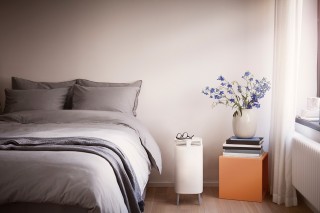 Blueair DustMagnet 5210i - Gestaltung des Reinigers