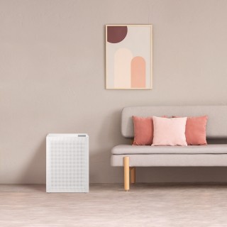 Coway Cartridge - Luftreiniger-Arrangement