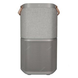 Electrolux Pure A9 PA91-405GY Vorderansicht