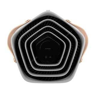 Electrolux Pure A9 PA91-605GY - Display zeigt die durchschnittliche Luftgeschwindigkeit an