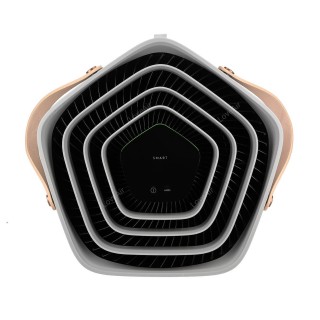 Electrolux Pure A9 PA91-605GY - Display und Bedienfeld