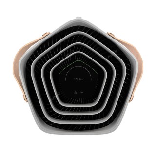 Electrolux Pure A9 PA91-605GY - Display zeigt den manuellen Modus und den Geschwindigkeitsschieberegler an