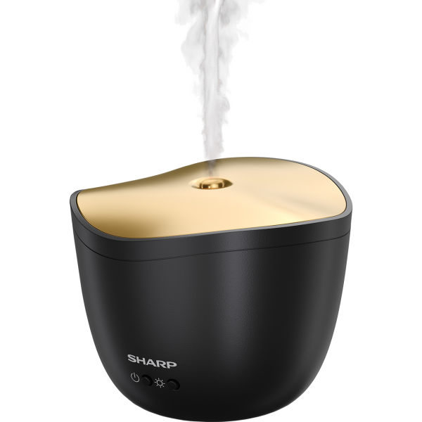 Sharp DF-A1E-B - Schwarz