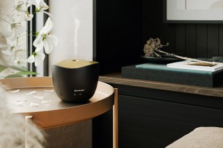 Sharp DF-A1E-B - Diffusor-Anordnung