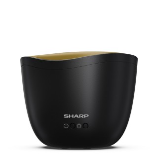 Sharp DF-A1E-B - Vorderansicht