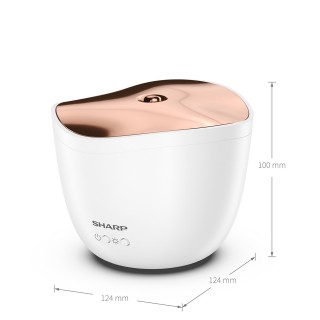 Sharp DF-A1E-W - Abmessungen