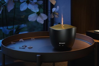 Sharp DF-A1E-B - Diffusor-Anordnung