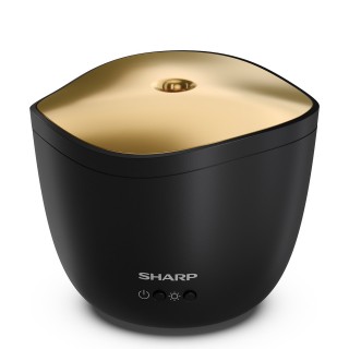 Sharp DF-A1E-B - Vorderansicht