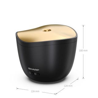 Sharp DF-A1E-B - Abmessungen