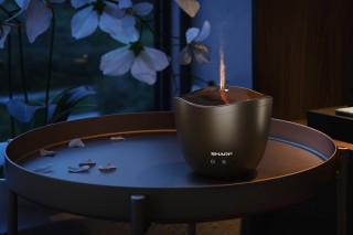 Sharp DF-A1E-T - Anordnung des Diffusors